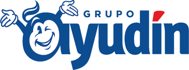 Grupo Ayudín